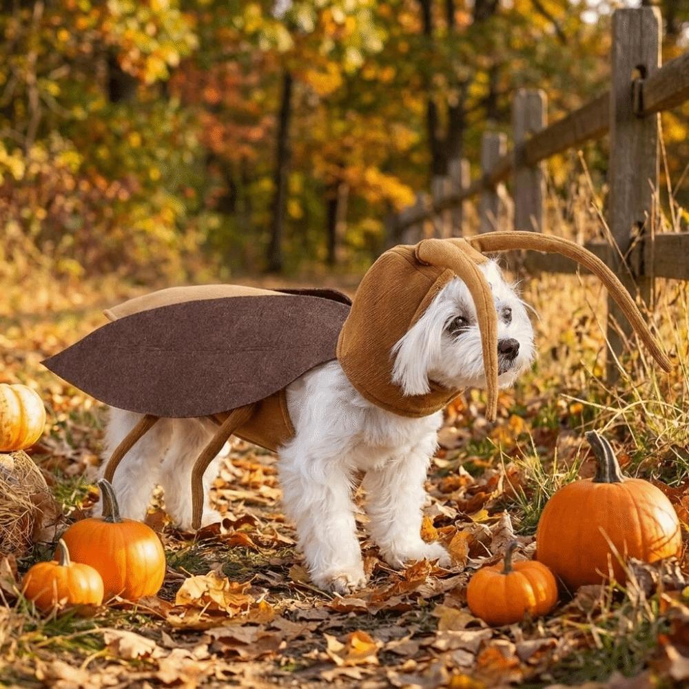 Realistic Pet Cockroach Cosplay Costume with Wing Costume Pranks Outfit  Halloween