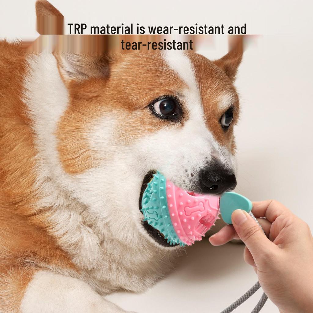 Hållbar Hundsugkopp Dragleksak med Matdispenserare & Tuggboll för Tandslipning
