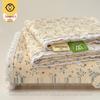 Class A Full Cotton Double Layer Gauze Bed Sheet & Pillowcase Set (3-Piece) for All Seasons