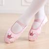 Lightwight Girls No-Elastic Satin Ballet Shoes Crown Sole Embroidery Ballet Comfortable & Anti-Slip Dance Shoes Ballet Supplies