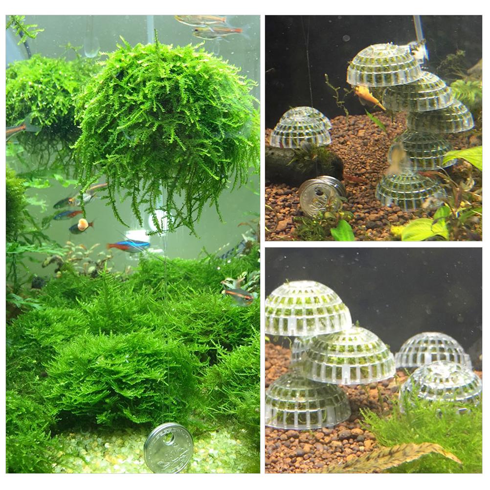 Moss Ball Filter Plastic Half Ball Moss Holder Fish Tank Decorative Ball
