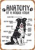 Vintage Funny Anatomy Of A Border Collie Retro Metal Tin Sign Rustic Distressed Dog Lover Wall Art Decor Perfect for Bar Man