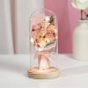 New Rose Lantern Glass Cover Immortal Bouquet Gypsy Dried Flowers Carnations Teachers' Day Qixi Festival Valentine's Day Gift