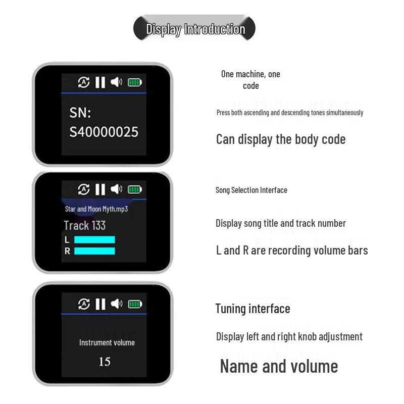 Shanghao S4 Portable Musical Instrument Amplifier (CN version)