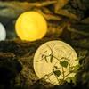3D Maan Nachtlampje Oplaadbare Maanlamp Slaapkamer Led Studeerkamer Tafellamp Warm Licht Bedlamp Bureaulamp Woondecoratie