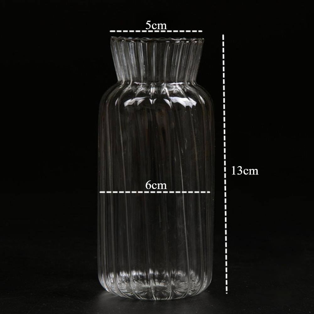 Nordic Creative Transparent Vases Striped Glass Vases Hydroponic Planter for Home Decor Plant Lover Gift Flower Table Vase