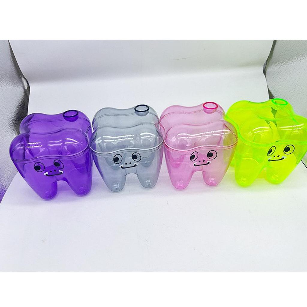 Tooth Molar Storage Box - Tooth-Shaped Organizer