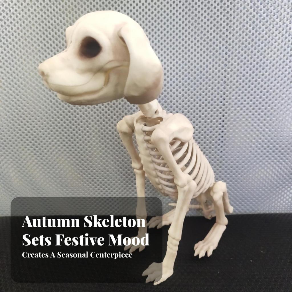 Dog Skeleton Haunted Skeletal Plastic for Party