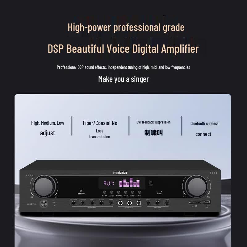 Malata QY-10 Home KTV & Theater Speaker System (CN version)