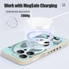 Blue Coat Panda Pattern Case For iPhone 17 Pro Max Magnetic For Magsafe Silicone Cover For iPhone 16 Pro Max Funda iPhone 15 14 13 12 11 16E Air