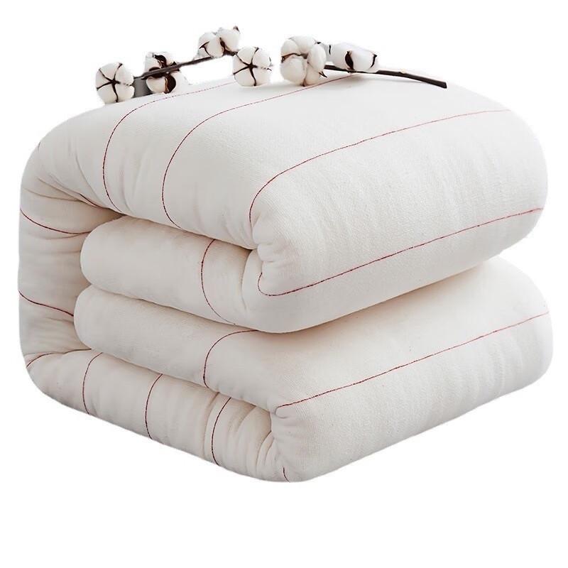 Xinjiang Cotton Winter Quilt
