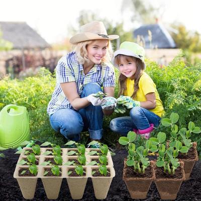 Yousheng 12-Cell Seedlings Tray Biodegradable Plant Pots Breathable Seeds Starter Tray with Tags And Tools for Flowers Vegetables Herbs Home Gardening