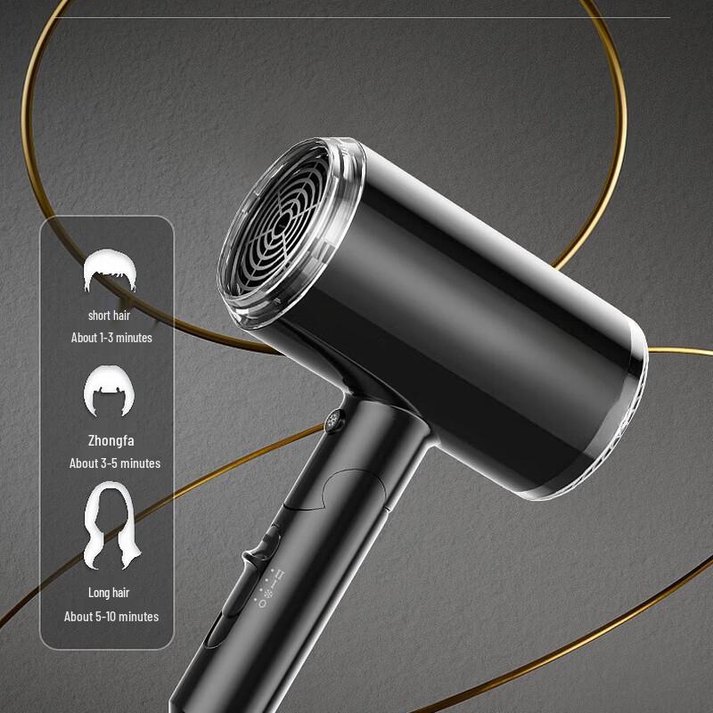 LISM Negative Ion Foldable Hair Dryer