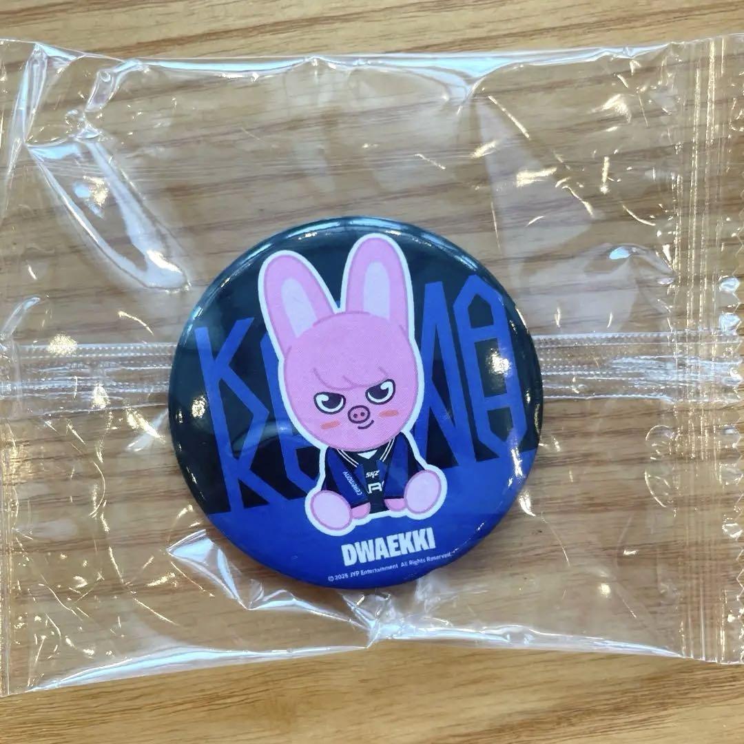 

[Б/У] Чанбин Stray Kids Зеркало из поп-ап магазина Karma (Не продается)