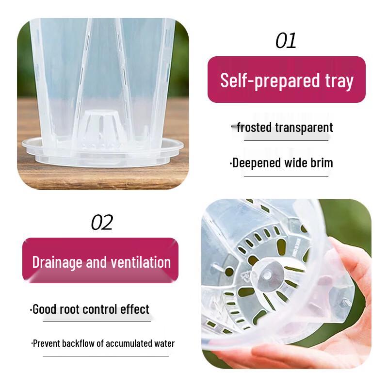 Meinaijia Transparent Breathable Orchid Pot