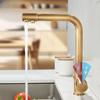 TLXT Antique Kitchen Faucet with Water Purifier