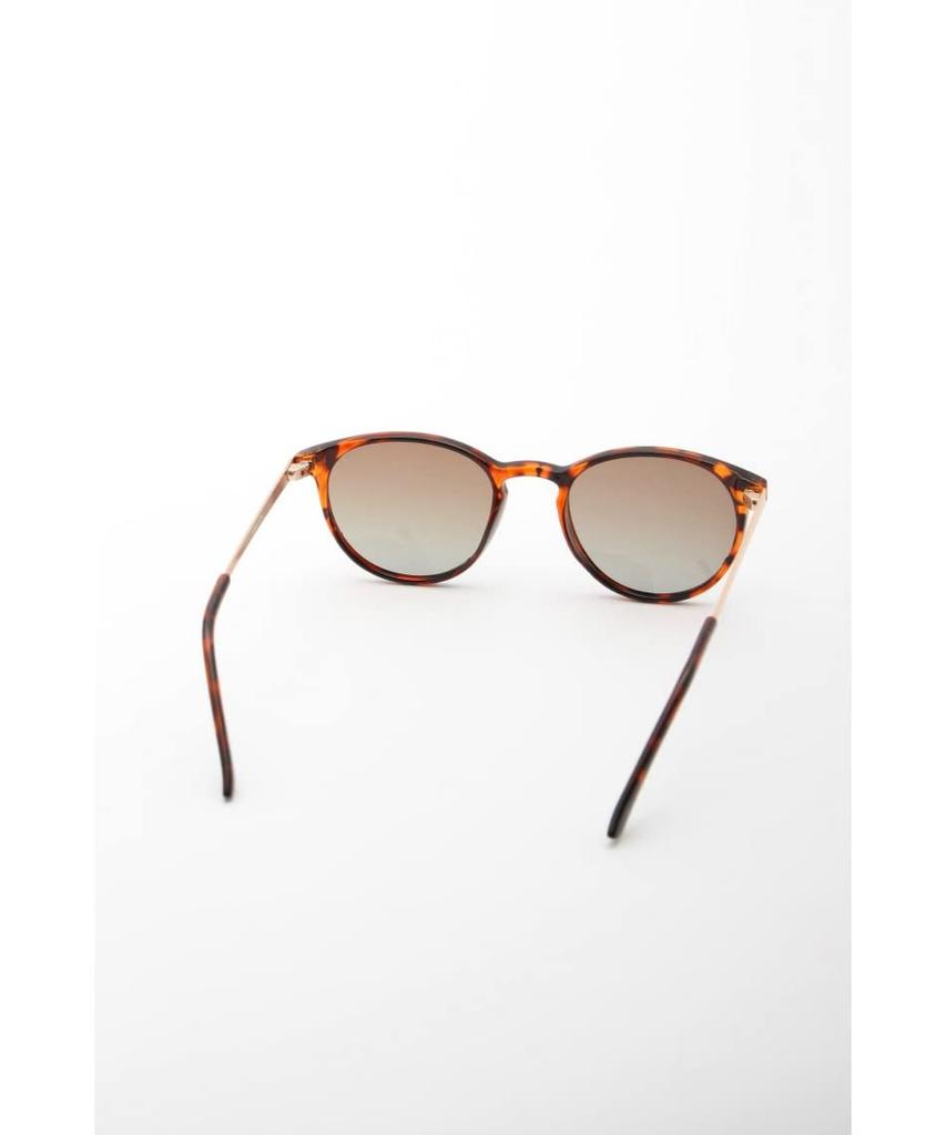 Coleman Polarized Sunglasses for Women SUNGLASS BK CLA08-2