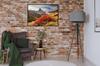 Picture Poster In a Frame 43x33 Cm Switzerland P937