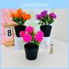 Chrysanthemum Plastic Flower Potted Plant For Balcony Desktop Plant Decoration