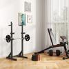 Weight Plates Set, with Two 5kg and Two 2.5kg Weights, Black