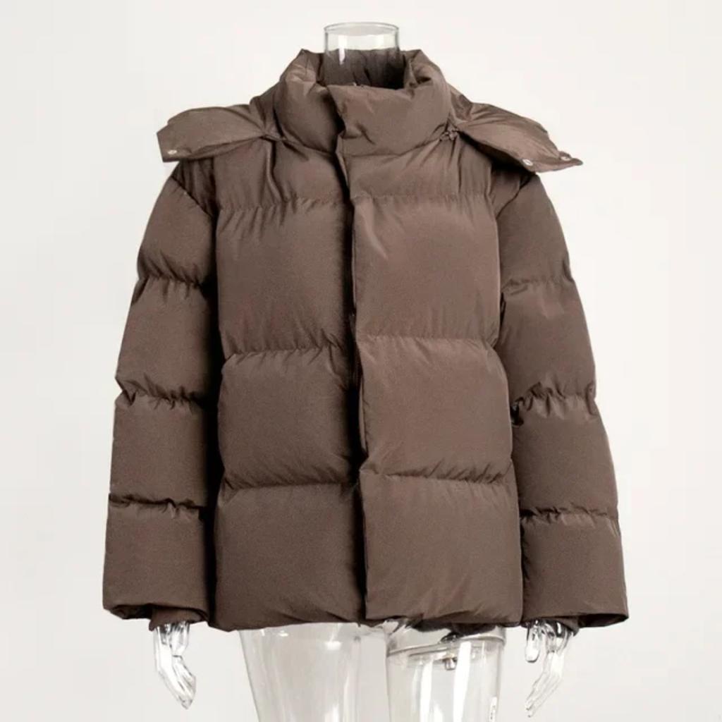 DRIPX Winter New Loose Hooded Cotton Padded Coat Women Solid Color Thick Warm Casual Quilted Apparel