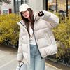 Padded Jacket Women's Winter Hooded Jackets Fashion