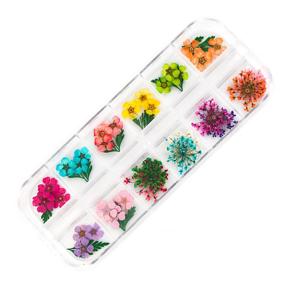Dried Flower Nail Decoration Nail Art Accessories Vibrant Floral Nail Art Supplies 12 Colors of Natural Dried for Manicure