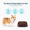 With Bottom Anti-Skid Pad Pet Slow Food Bowl Plastic Anti Choking Feeding Bowl  for Cats Dogs