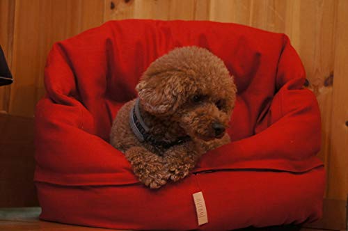 Nufnuf (Nufnuf) Japan Exclusive BENJI (Benji) Tomato Red XS Size