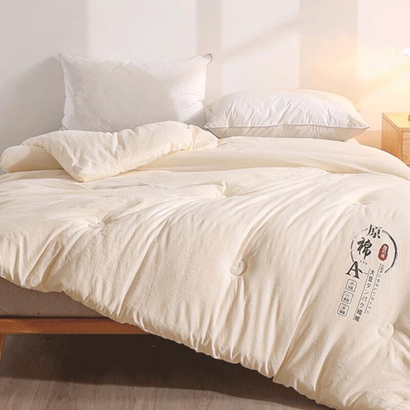 Muji Antibacterial 10% Soybean Fiber Winter Quilt