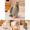 Plush Pigeon Toy For Kids Sleep Decor With Pp Cotton Filling Ideal For Bedroom And Gift