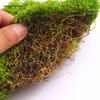 Bionic Moss Bonsai: Artificial Turf Potted Plant and Lawn Decoration
