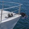 Horizontal Fishing Windlass, 12V DC 600W, Windlass Anchor Systems Fit for 6.35 mm Chain or 14.3 & 15.9 mm Nylon Rope, Max Pull 260 kg, 316 Stainless