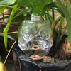 Self Watering Planter Automatic Plant Watering Automatic Flower Watering Device Owl Design Self-watering Planter Insert