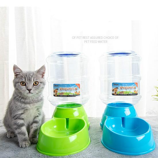 cat automatic feeder and water