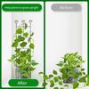 Garden Trellis Durable Garden Trellis Climbing Plant Stem Support Stake Stand Frame Vine Racks For Indoor Plant Flowers
