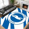 Anti‑Slip Crystal Velvet Floor Rug, Brighton Hove Albion Design Carpet for Indoor Living Bedroom Home Decoration