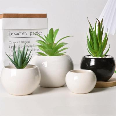 6Pcs White Succulent Flower Pot Round Shape Ceramic Pot New Plant Potted Indoor Plants
