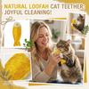 Natural Loofah Cat Toy for Scratching and Chewing Durable Pet Self-Entertainment Interactive Catnip Toy for Dental Health and Play
