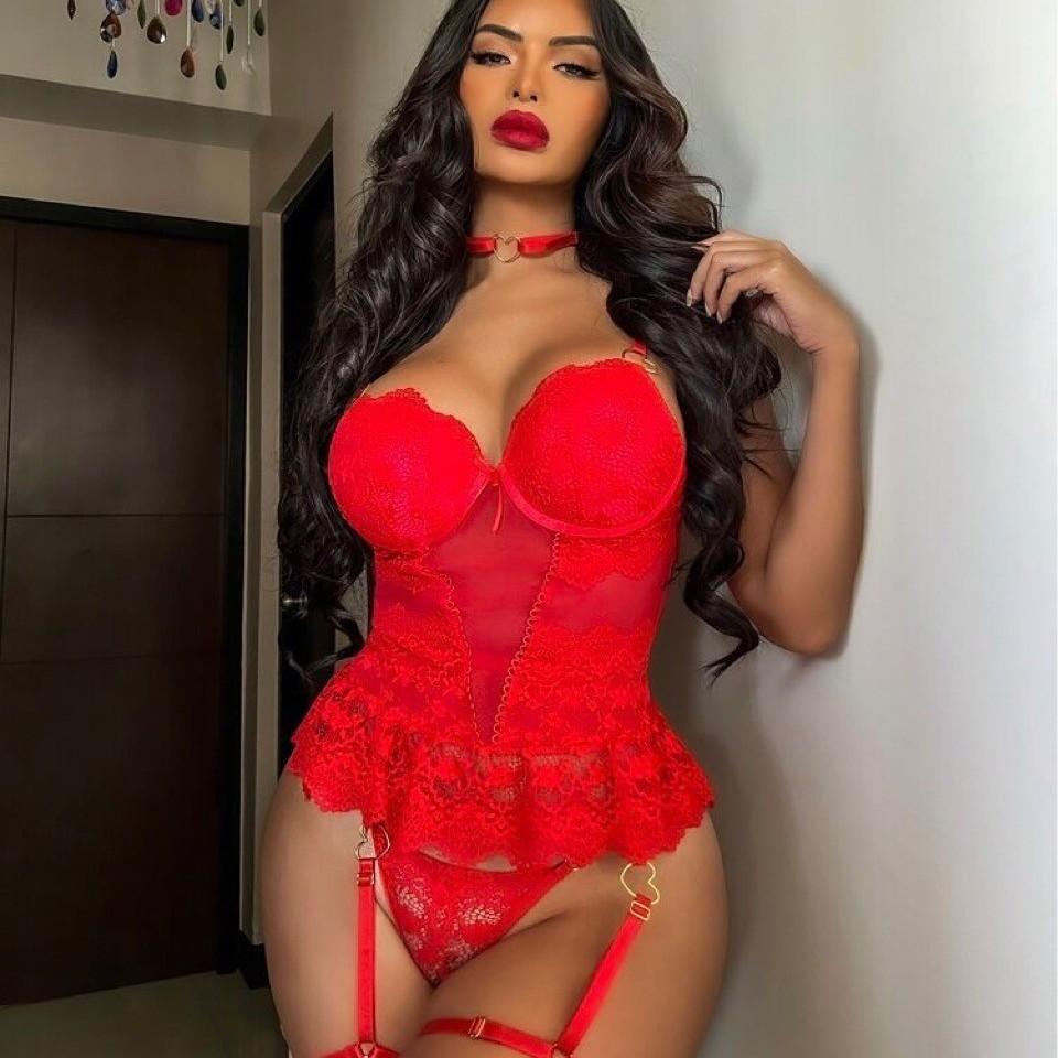 Französisches sexy Korsett-Dessous-Weste, Korsett-BH-Set mit reiner Taille und Spitzen-Netzrand