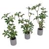 1:6 Dollhouse Miniature Potted Plant Green Leafed Plant Pot Bonsai Home Garden Decor Toy Doll House Accessories