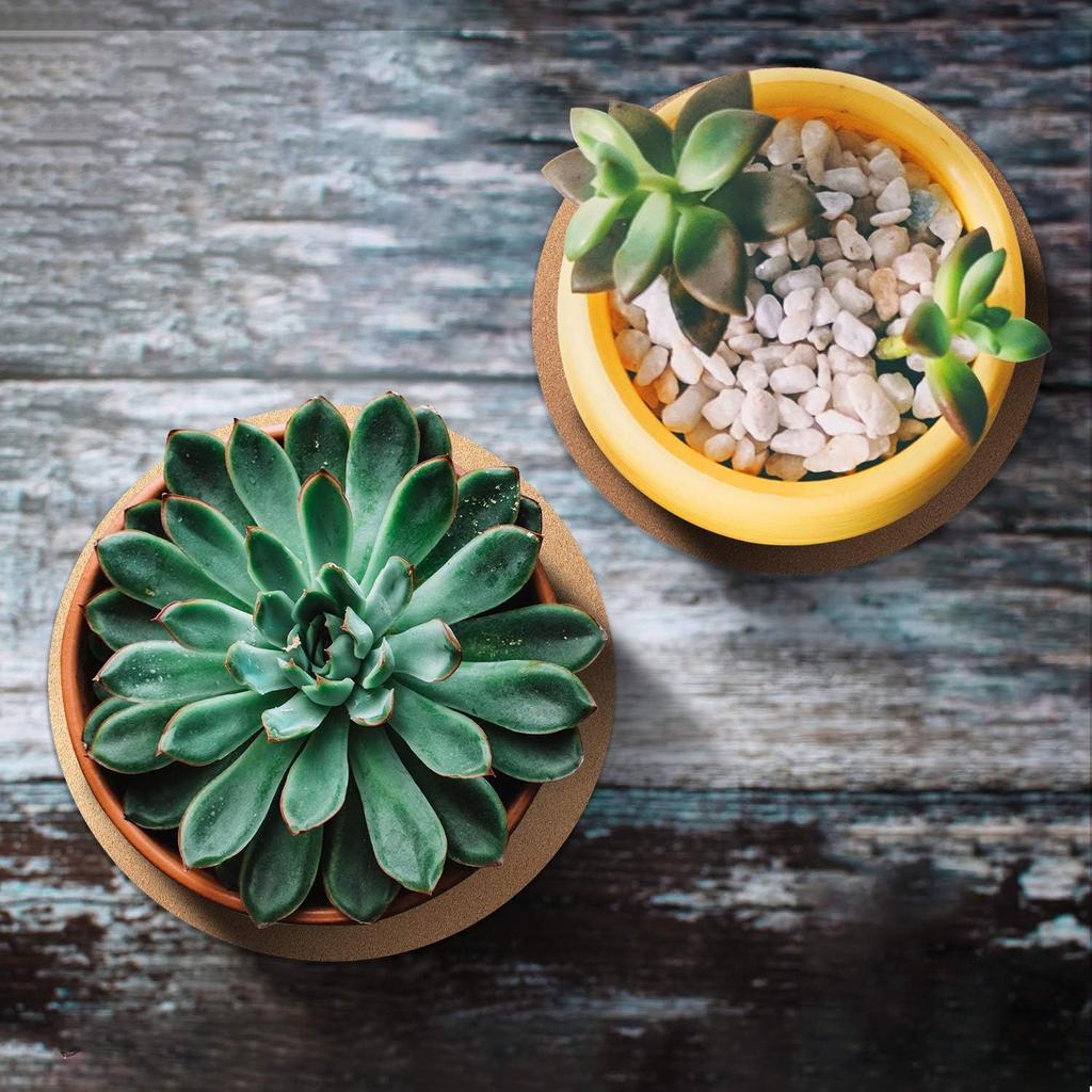 Boao 2 Pcs 12 Inch Cork Plant Coaster Cork Mat Trivet for Plant Round Absorbent Corkboard Mat Pad Planter Saucers for Kitchen Dining Table Countertop