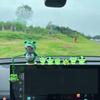 Life 2 Kick Car Decoration, Frog, Luminous Frog, Car Decoration, Dashboard, Car Accessories, Car