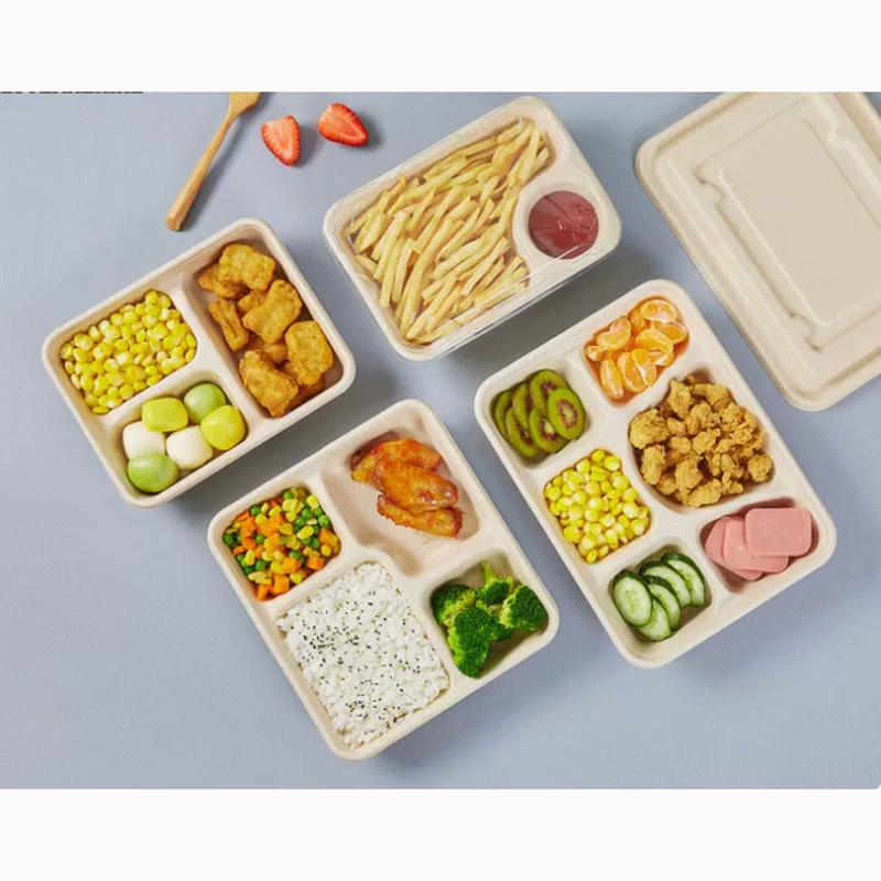 Sujie Degradable 4-Compartment Pulp Lunch Boxes with Lids