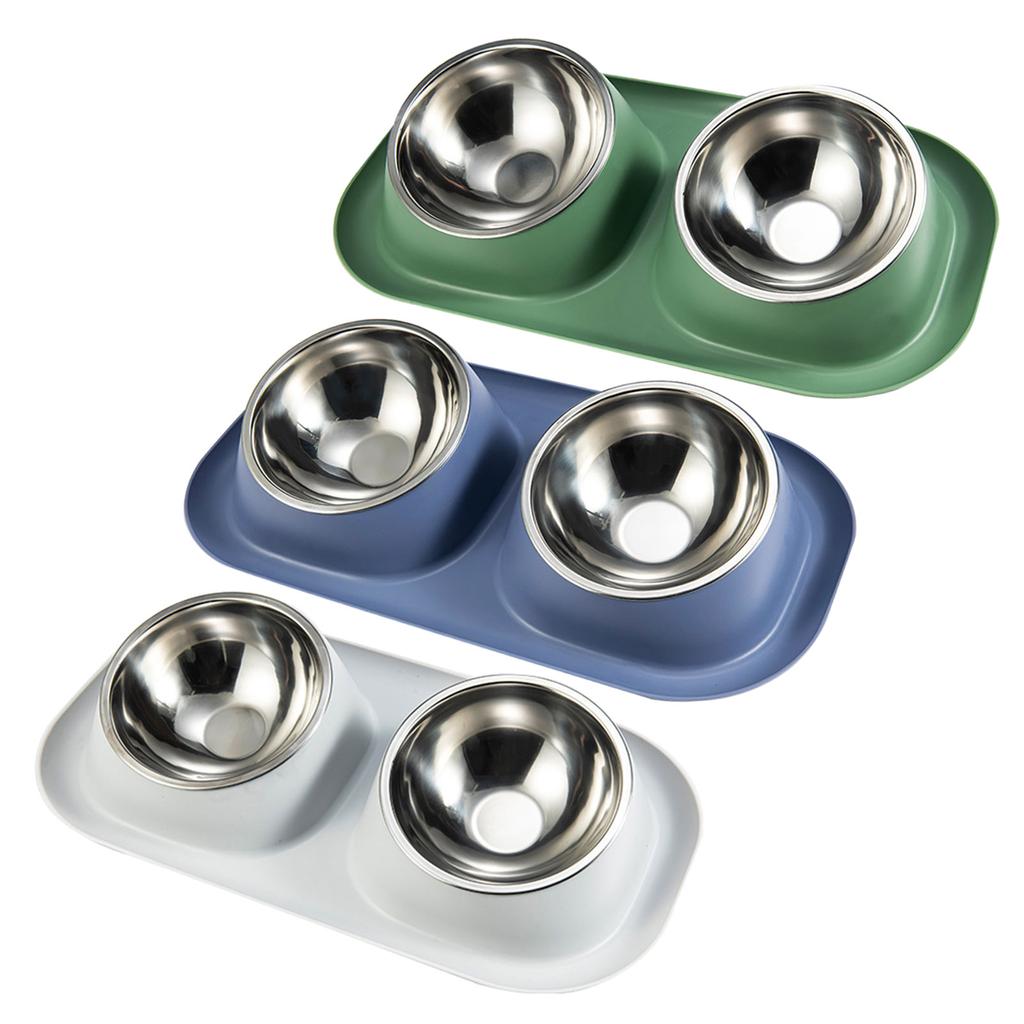 Double Dog for Cat Bowls Stainless Steel Food Water Bowl with Non Slip Plastic Tilted Stand Detachable Dish Easy to Clea
