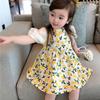 Mädchen Blumenkleid Frische Landschaft Zitrone Prinzessinkleid Baby Mädchen Internetberühmt Sommer Outfit
