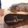 Mimi cat scratching post | white | 70x23x24 cm | MruuPruu
