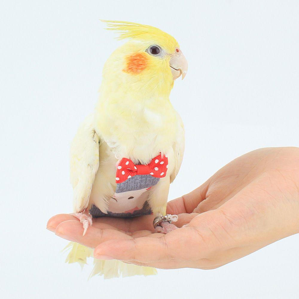 for Small Medium Large Birds Colorful Pet Clothes Birds Flight Suit Parrot Diaper Pigeons Pants