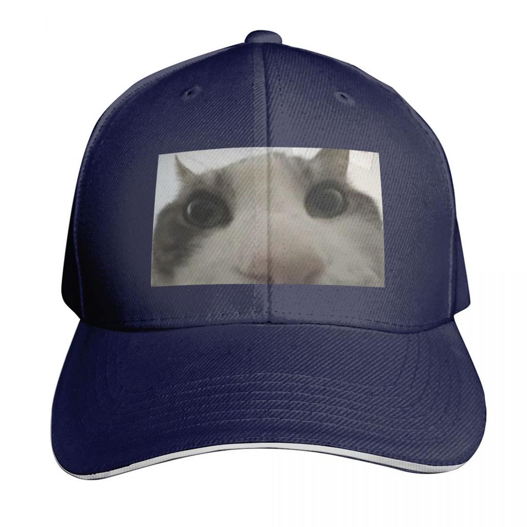 Cat looking inside box meme Baseball Cap party Hat Unique hats Sports Cap fun hats Hats Women Unisexs