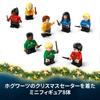LEGO Harry Potter Advent Calendar 2025 - Toy, Birthday Present, Building Blocks, Boys, Girls, Children (Ages 7, 8, 9), Elementary School Students, Har